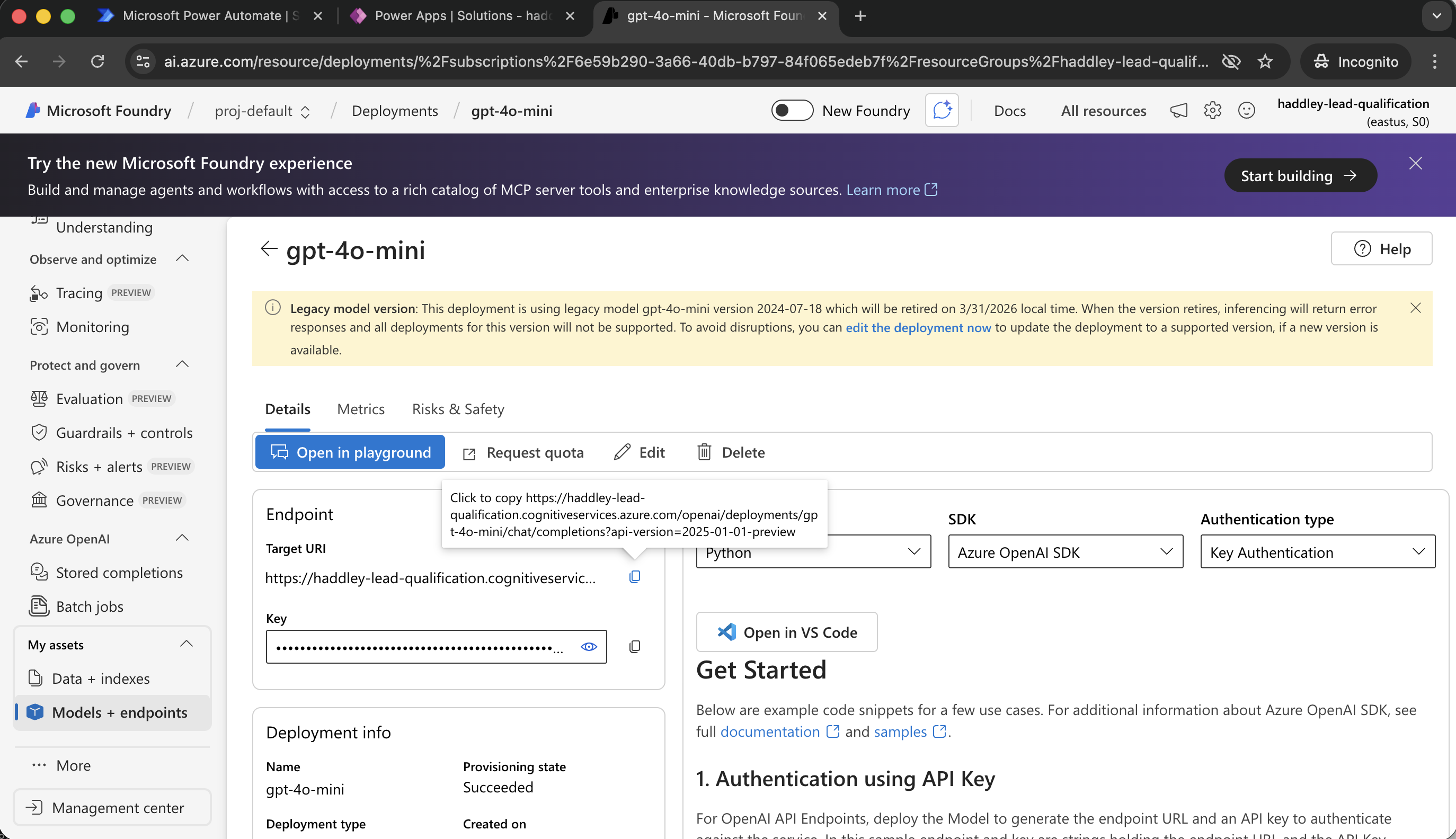 I copied model Endpoint